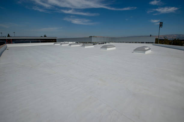 Best Rubber Roofing (EPDM, TPO)  in Hastings On Hudson, NY