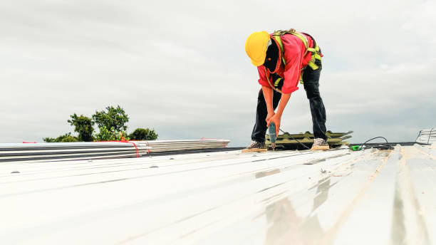 Best Green or Eco-Friendly Roofing Solutions  in Hastings On Hudson, NY